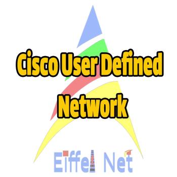 Cisco User Defined Network